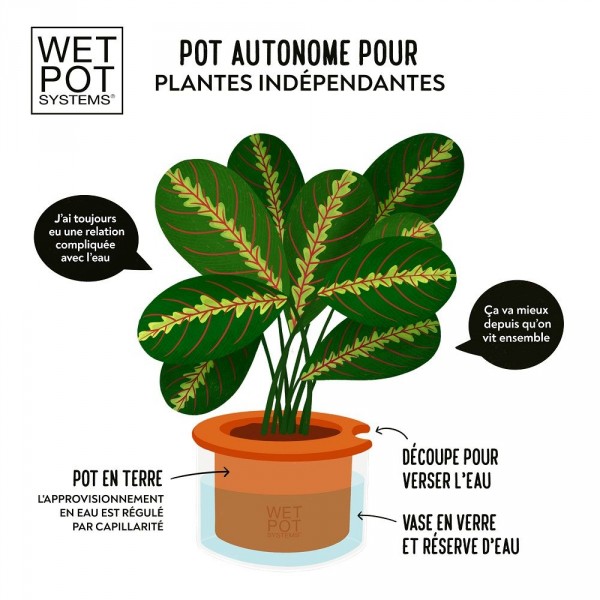 Pot avec réservoir d'eau WET POT, voyagez sans vous soucier de l'entretien  de vos plantes