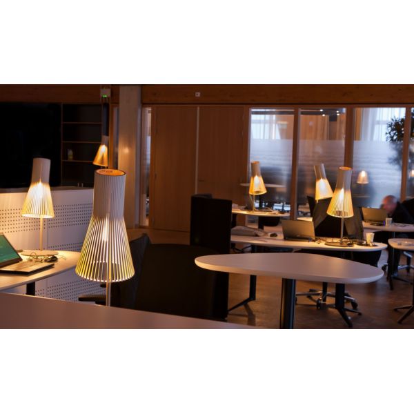 Lampe de bureau en forme d'arbre de bouleau, décoration conviviale et  durable, longue durée, décoration de bureau pour le bureau – les meilleurs  produits dans la boutique en ligne Joom Geek
